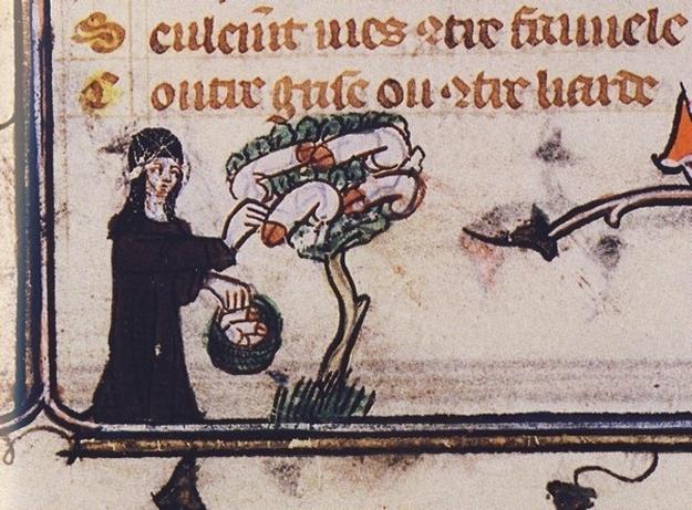 5 Surprisingly Wild Facts About Sex in the Middle Ages