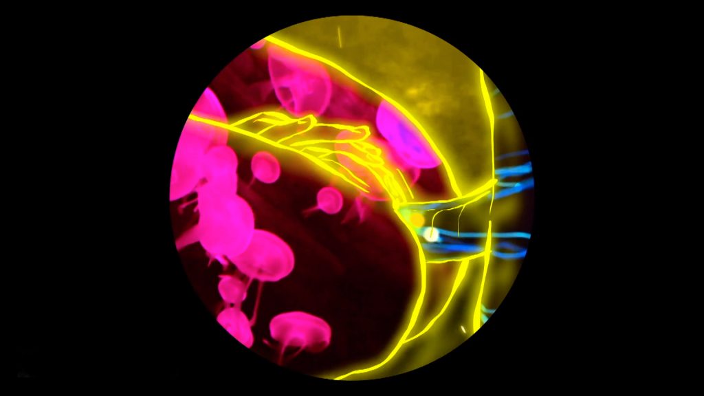 stills Guby Moon IRIS 01