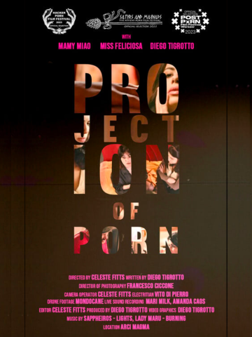 cover Diego Tigrotto Projection of Porn.png