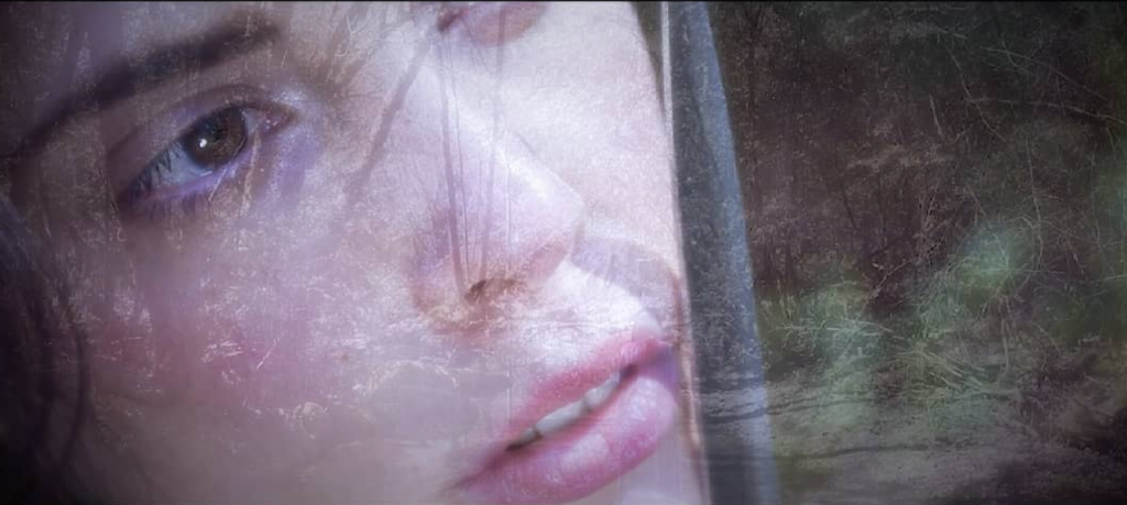 Bildschirmfoto 2024 12 02 um 14.38.13